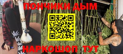 шишки Краснодар