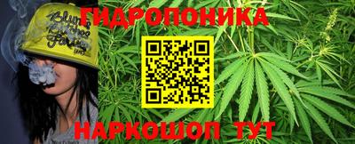шишки Краснодар
