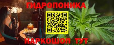 шишки Краснодар