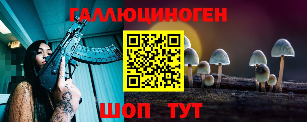 Псилоцибиновые грибы прущие грибы Избербаш